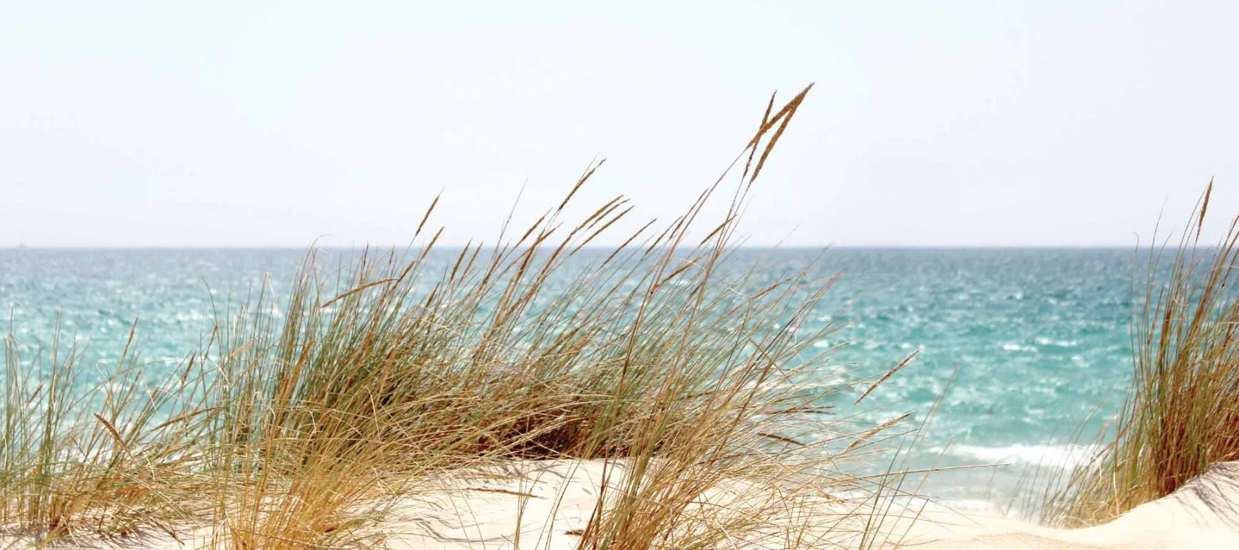 Playa de Armação de Pêra, Algarve