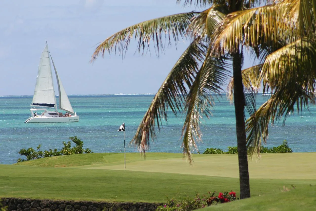 Green de golfe à beira-mar, com palmeira e veleiro ao fundo